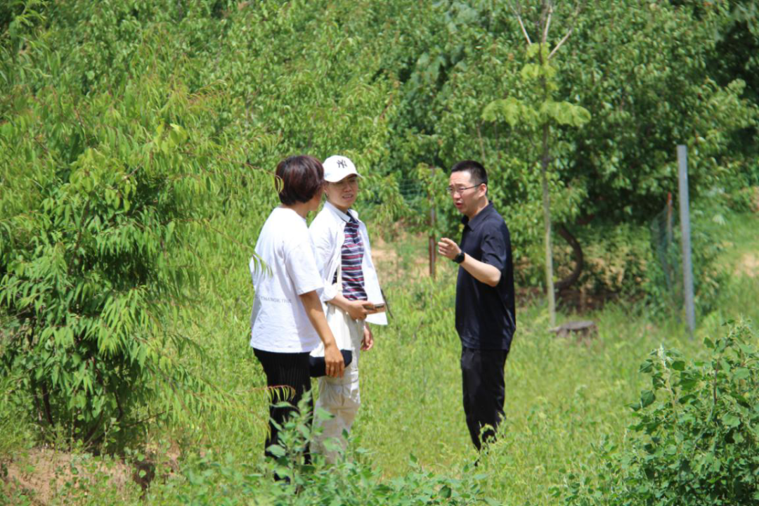 微信圖片_20210601155857.png